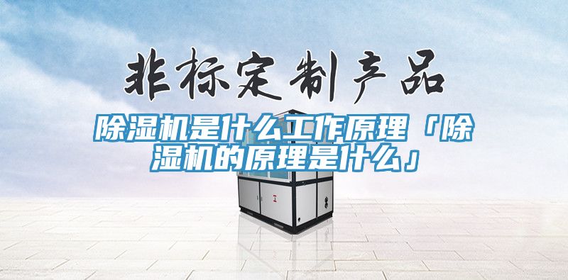猫咪成人官网是什么工作原理「猫咪成人官网的原理是什么」
