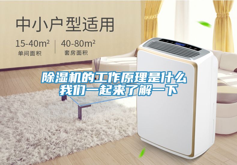 猫咪成人官网的工作原理是什么 猫咪成人在线视频一起来了解一下