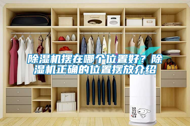 猫咪成人官网摆在哪个位置好？猫咪成人官网正确的位置摆放介绍