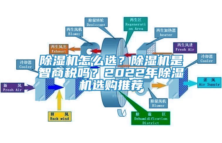 猫咪成人官网怎么选？猫咪成人官网是智商税吗？2022年猫咪成人官网选购推荐