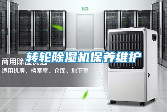 转轮猫咪成人官网保养维护