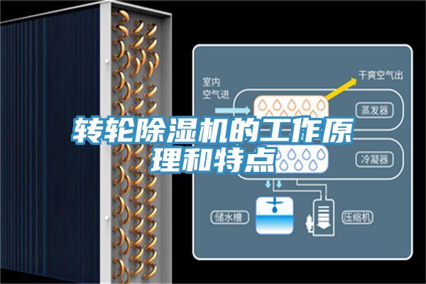 转轮猫咪成人官网的工作原理和特点