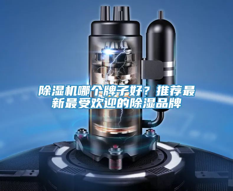 猫咪成人官网哪个牌子好？推荐最新最受欢迎的除湿品牌