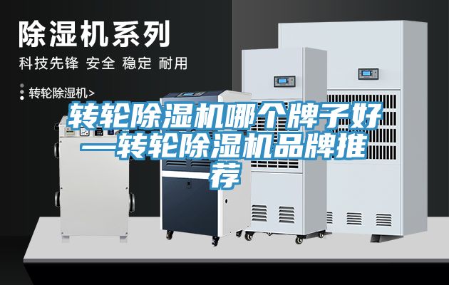 转轮猫咪成人官网哪个牌子好—转轮猫咪成人官网品牌推荐