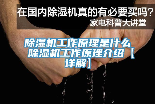 猫咪成人官网工作原理是什么 猫咪成人官网工作原理介绍【详解】
