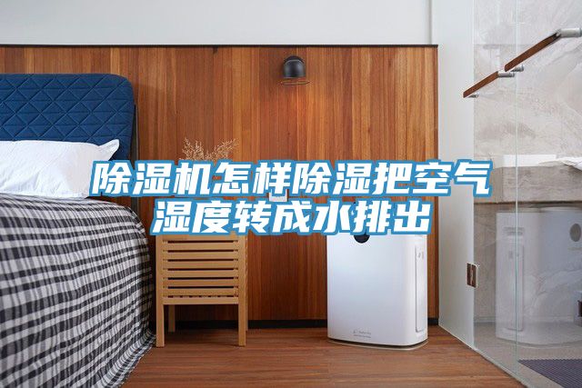 猫咪成人官网怎样除湿把空气湿度转成水排出