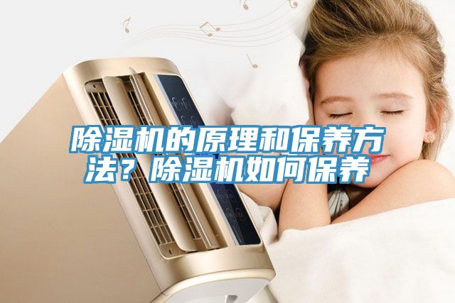 猫咪成人官网的原理和保养方法？猫咪成人官网如何保养