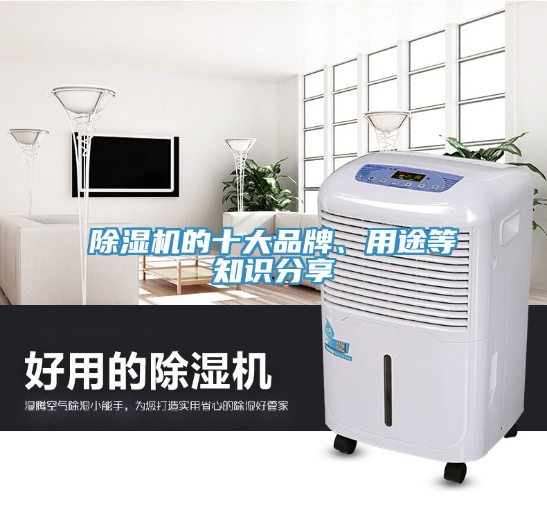 猫咪成人官网的十大品牌、用途等知识分享