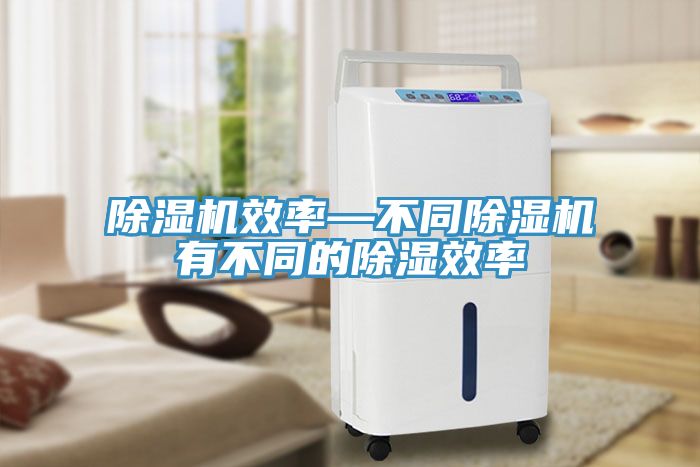 猫咪成人官网效率—不同猫咪成人官网有不同的除湿效率