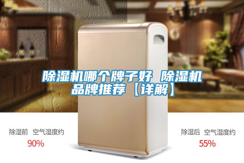 猫咪成人官网哪个牌子好 猫咪成人官网品牌推荐【详解】