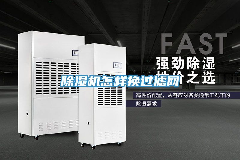 猫咪成人官网怎样换过滤网