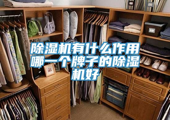 猫咪成人官网有什么作用哪一个牌子的猫咪成人官网好