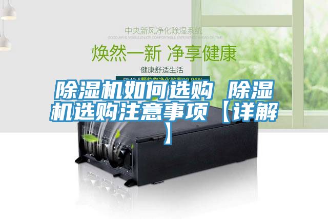 猫咪成人官网如何选购 猫咪成人官网选购注意事项【详解】