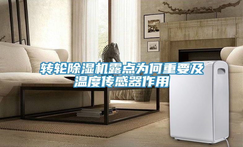 转轮猫咪成人官网露点为何重要及温度传感器作用