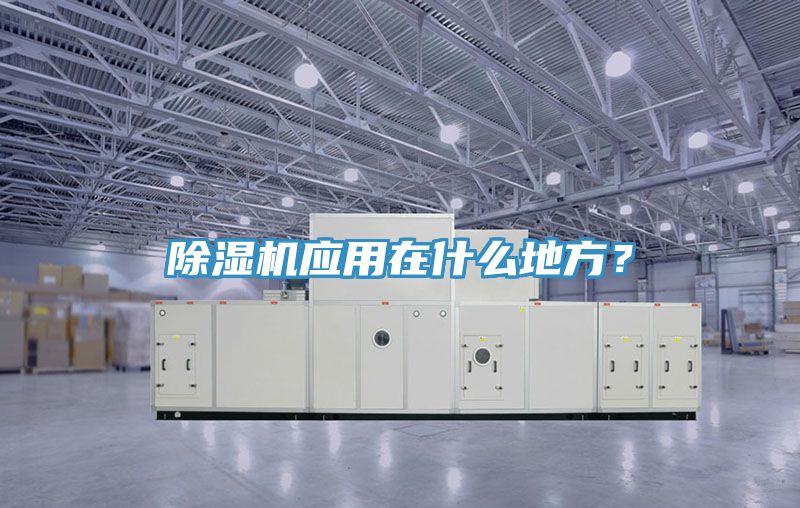 猫咪成人官网应用在什么地方？