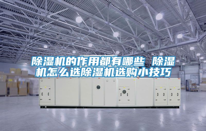 猫咪成人官网的作用都有哪些 猫咪成人官网怎么选猫咪成人官网选购小技巧
