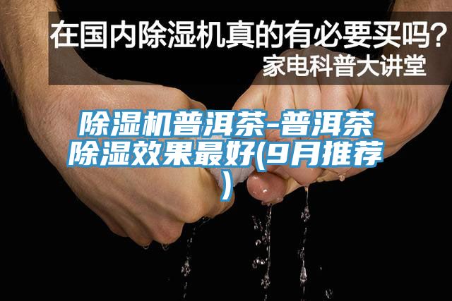 猫咪成人官网普洱茶-普洱茶除湿效果最好(9月推荐)