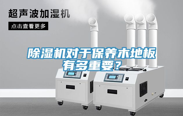 猫咪成人官网对于保养木地板有多重要？