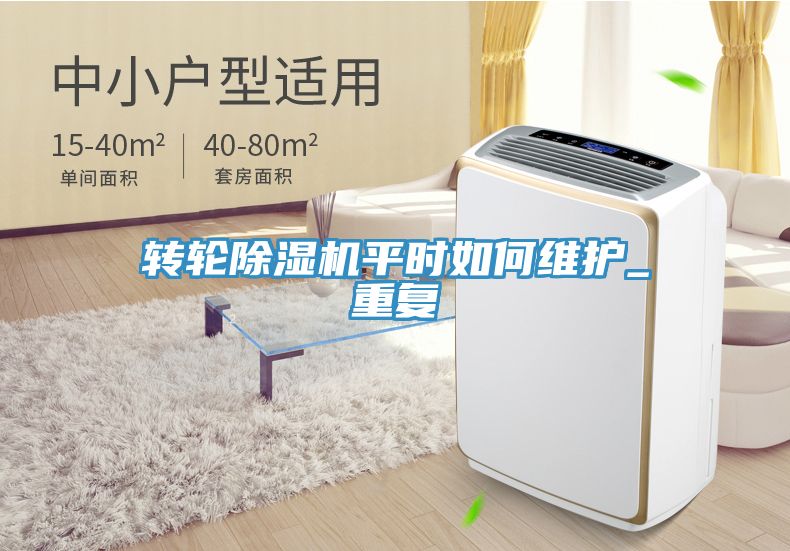 转轮猫咪成人官网平时如何维护_重复