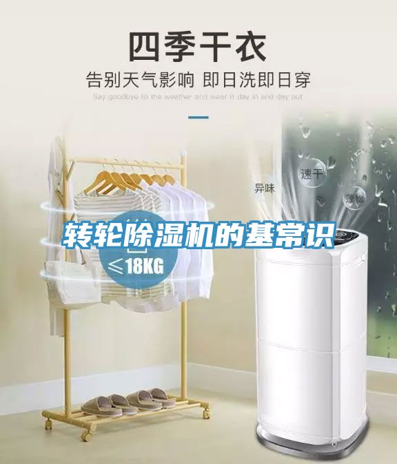 转轮猫咪成人官网的基常识