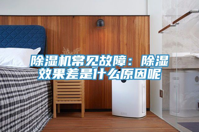 猫咪成人官网常见故障：除湿效果差是什么原因呢