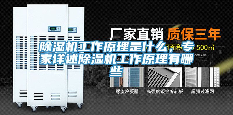 猫咪成人官网工作原理是什么，专家详述猫咪成人官网工作原理有哪些