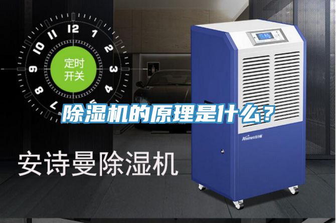 猫咪成人官网的原理是什么？