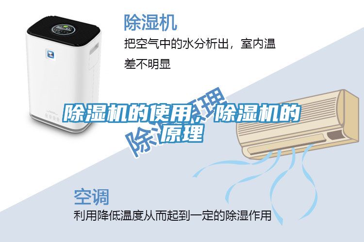 猫咪成人官网的使用，猫咪成人官网的原理