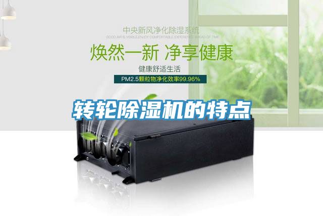转轮猫咪成人官网的特点