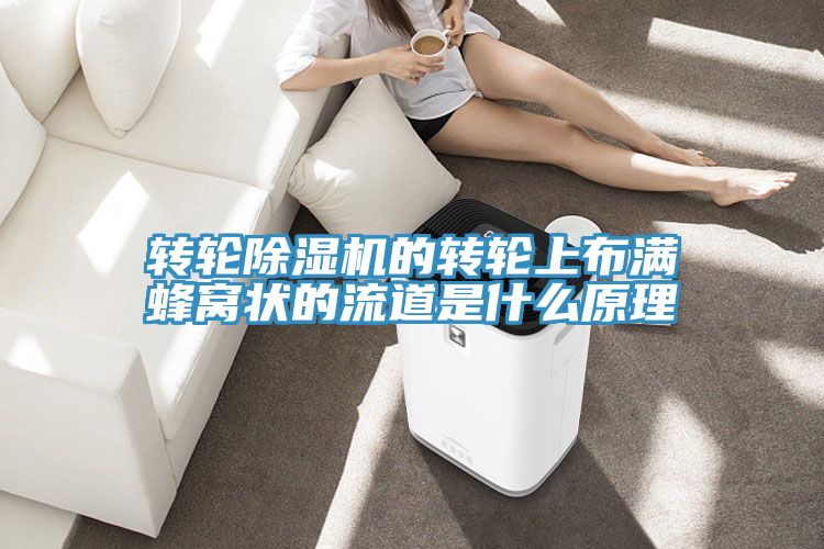 转轮猫咪成人官网的转轮上布满蜂窝状的流道是什么原理