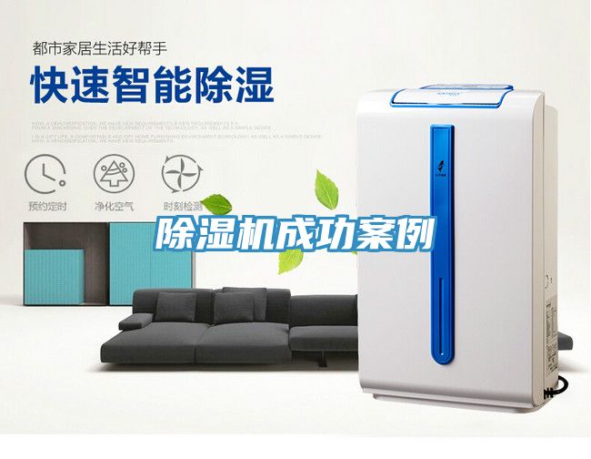 猫咪成人官网成功案例