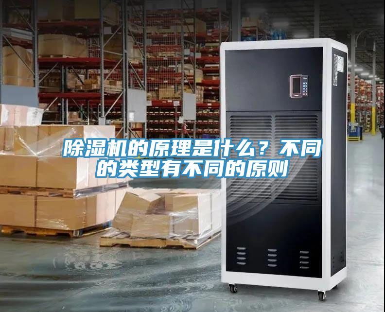 猫咪成人官网的原理是什么？不同的类型有不同的原则