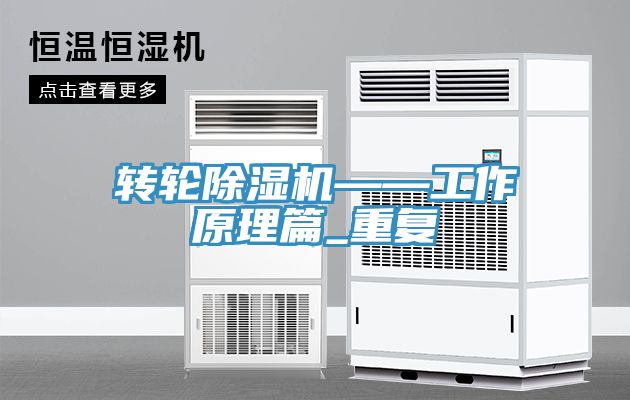 转轮猫咪成人官网——工作原理篇_重复