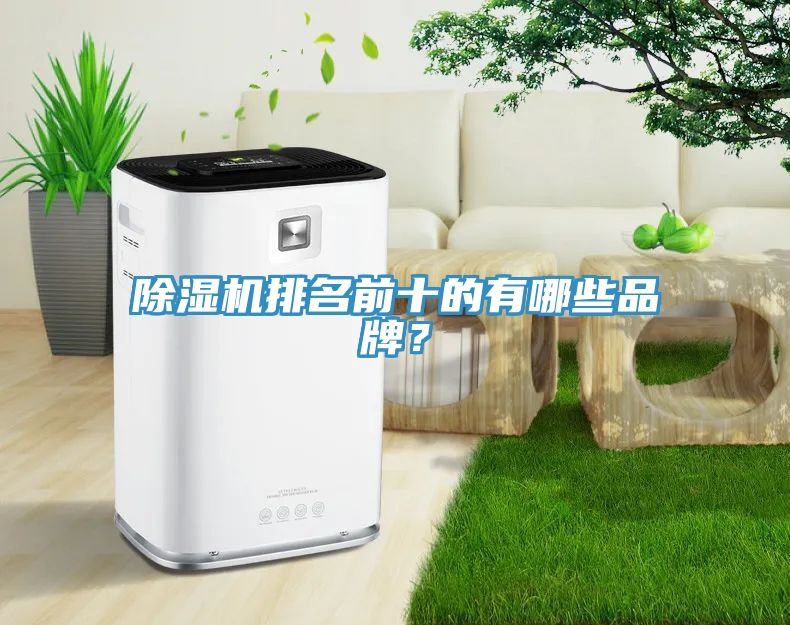 猫咪成人官网排名前十的有哪些品牌？