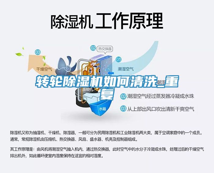 转轮猫咪成人官网如何清洗_重复