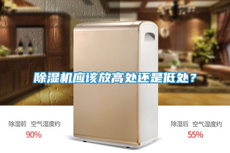 猫咪成人官网应该放高处还是低处？