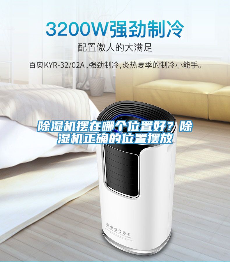猫咪成人官网摆在哪个位置好？猫咪成人官网正确的位置摆放