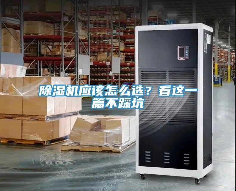 猫咪成人官网应该怎么选？看这一篇不踩坑