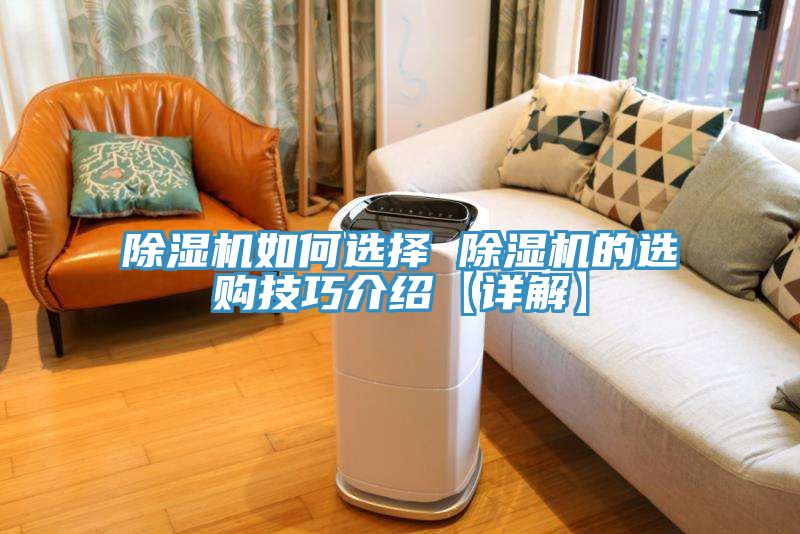 猫咪成人官网如何选择 猫咪成人官网的选购技巧介绍【详解】