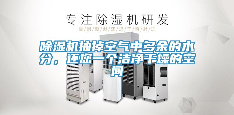 猫咪成人官网抽掉空气中多余的水分，还您一个洁净干燥的空间