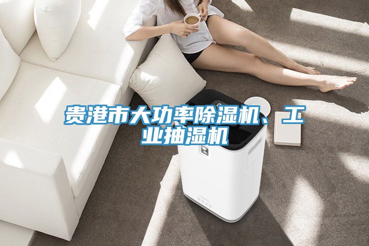 贵港市大功率猫咪成人官网、工业抽湿机