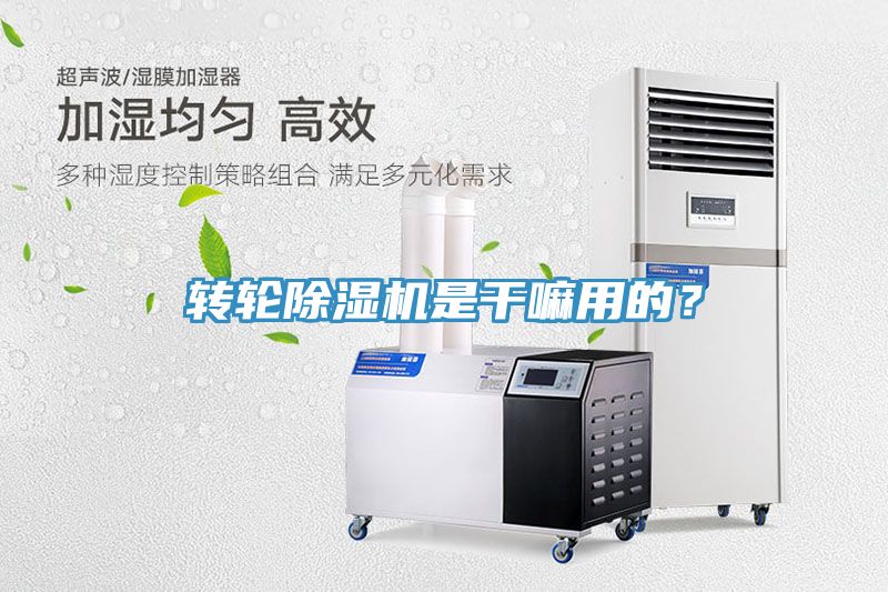 转轮猫咪成人官网是干嘛用的？