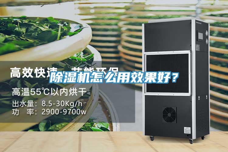 猫咪成人官网怎么用效果好？