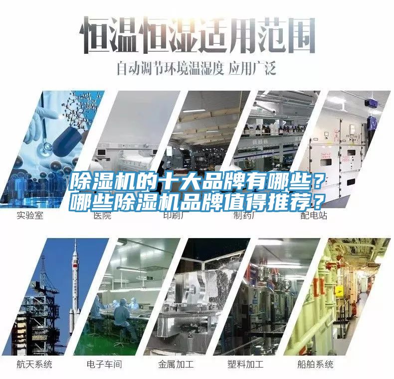 猫咪成人官网的十大品牌有哪些？哪些猫咪成人官网品牌值得推荐？