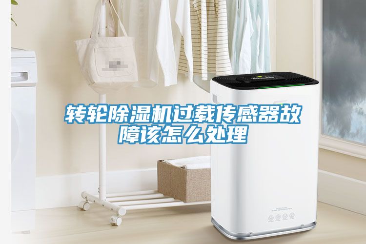 转轮猫咪成人官网过载传感器故障该怎么处理