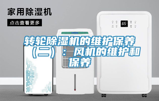 转轮猫咪成人官网的维护保养（二）：风机的维护和保养