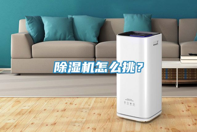 猫咪成人官网怎么挑？
