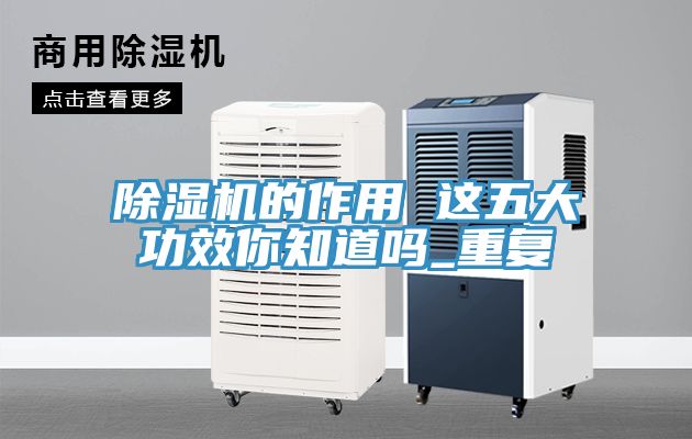 猫咪成人官网的作用 这五大功效你知道吗_重复
