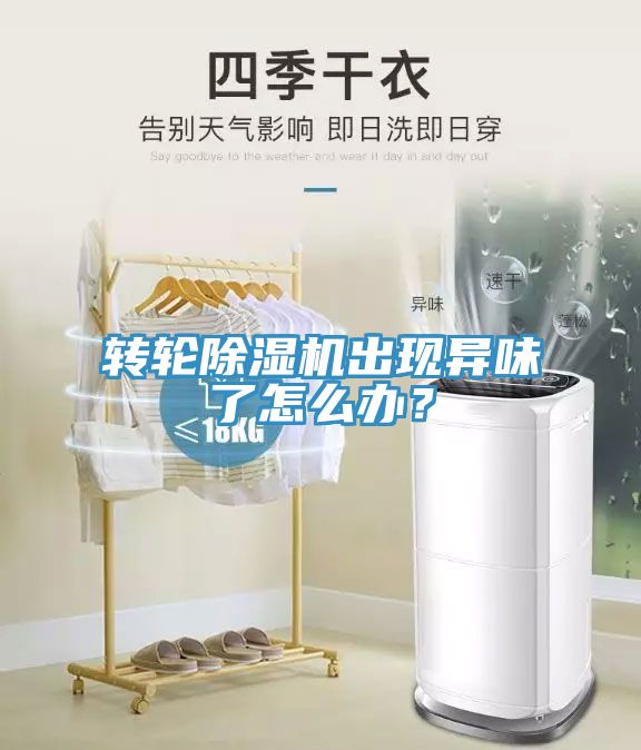转轮猫咪成人官网出现异味了怎么办？