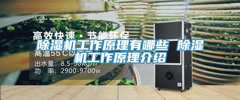 猫咪成人官网工作原理有哪些 猫咪成人官网工作原理介绍